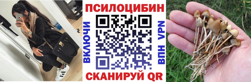 Галлюциногенные грибы GOLDEN TEACHER Коркино